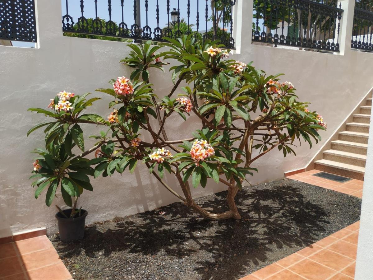Punta Negra Apartman Puerto de Santiago  Kültér fotó